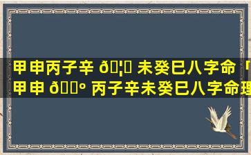 甲申丙子辛 🦄 未癸巳八字命「甲申 🌺 丙子辛未癸巳八字命理详解」